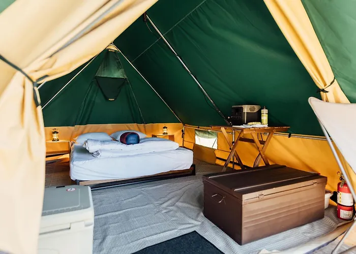 White\'S Landing Catalina Camp