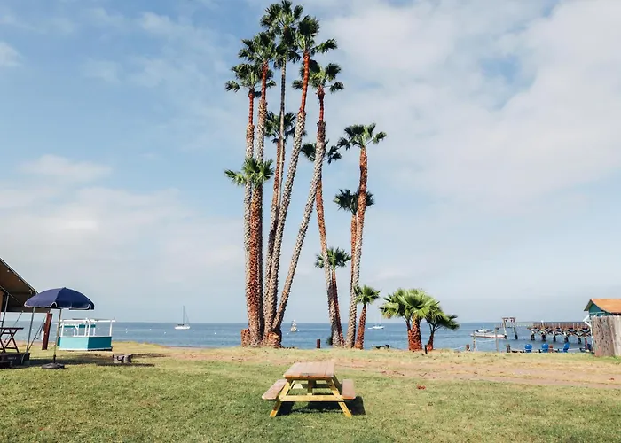 White\'S Landing Catalina Camp