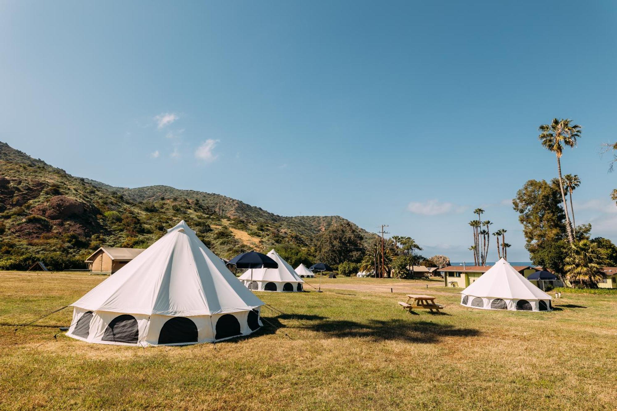 Campsite White's Landing Catalina Camp