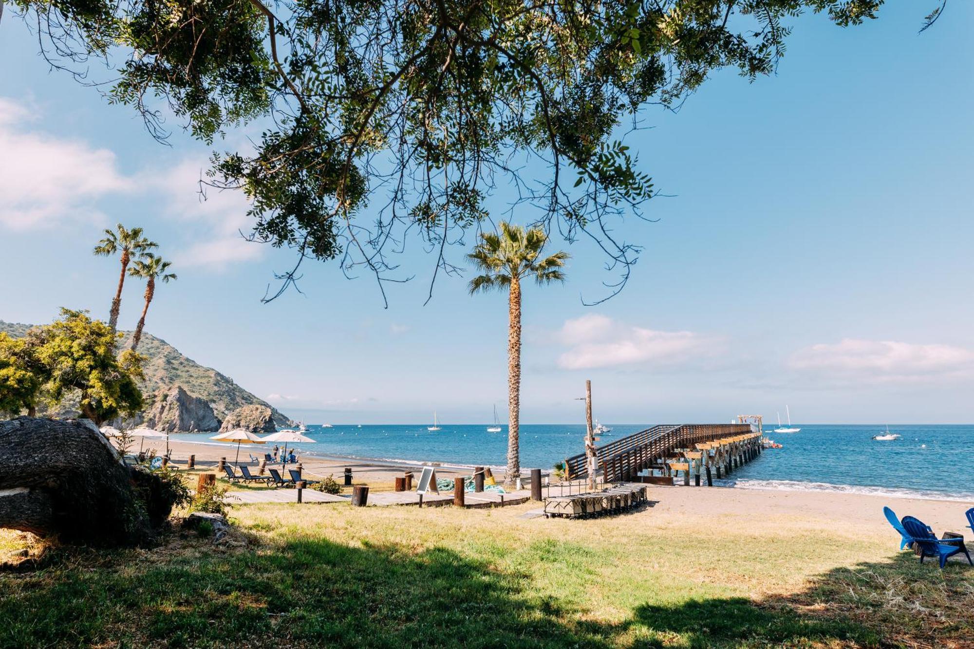 White's Landing Catalina Camp Campsite